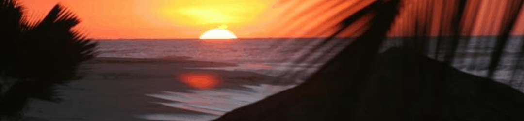 Silhouette of palm leaves framing a serene beach sunset.