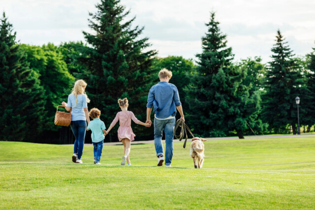A family of four and a dog walk together on a grassy field, surrounded by trees. The adults carry a picnic basket and a dog leash. The scene is bright and peaceful, with everyone walking away from the camera.